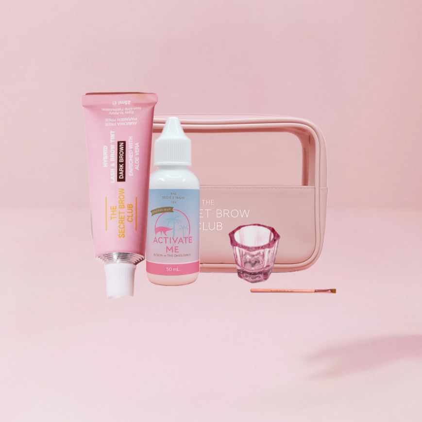 HYBRID TINT TRAINING - ONLINE